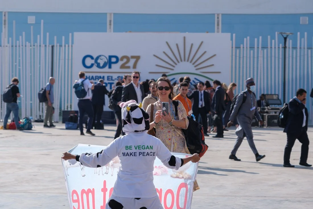 Cop27 by Aly Hazzaa (1).jpg