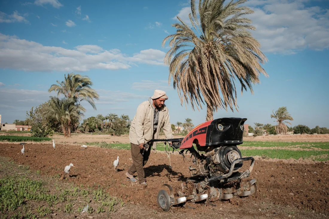 2411 Minya IFAD 0174.jpg