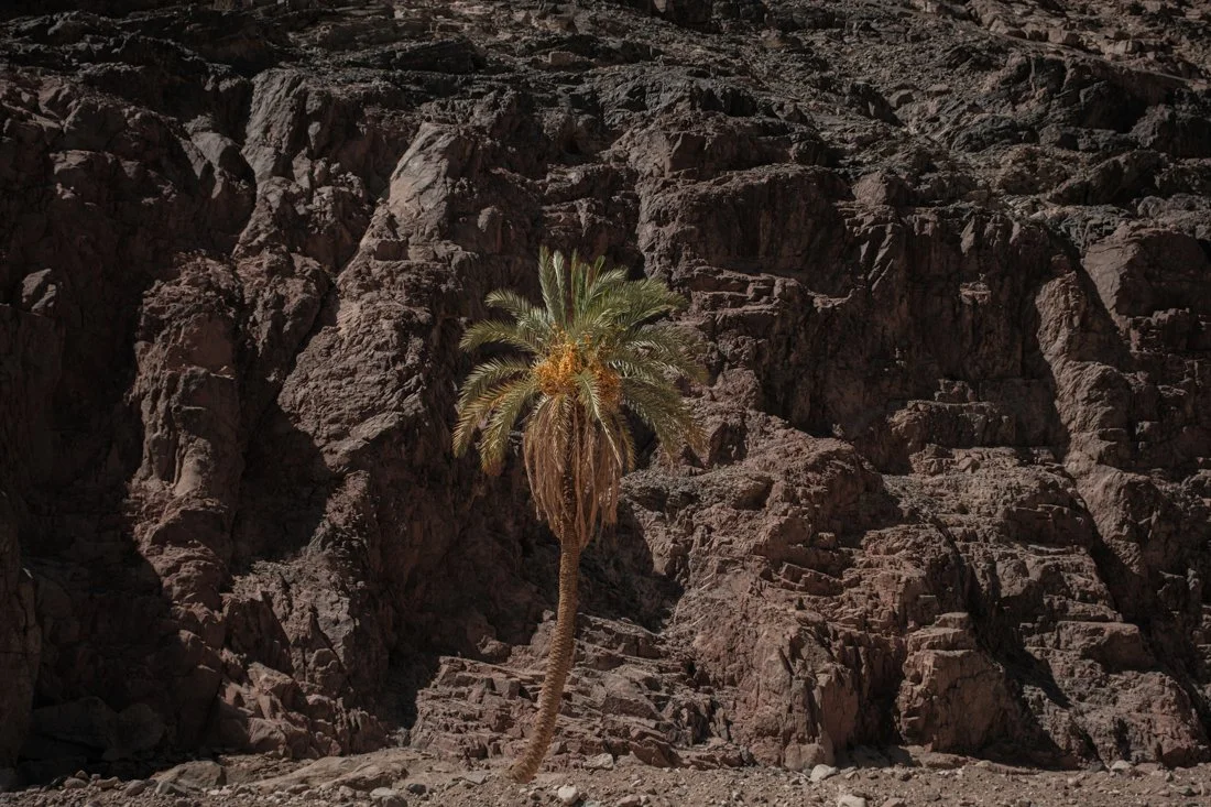 saint-catherine-unesco-heritage-sinai-documentary-egypt (1).jpg