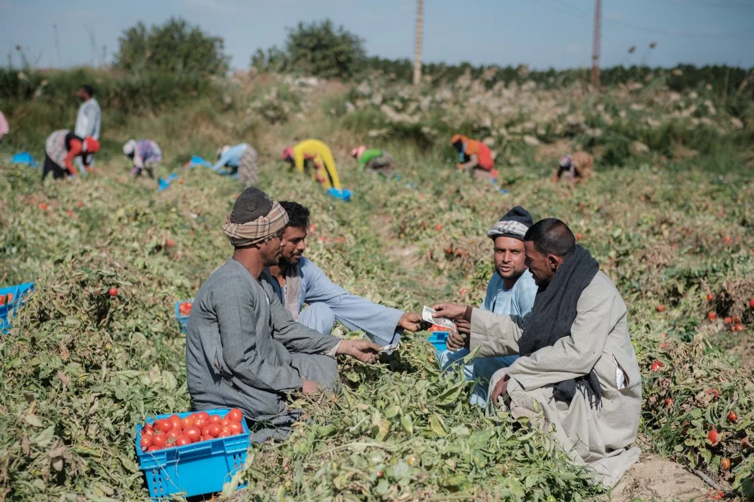 2411 Minya IFAD 0065.jpg