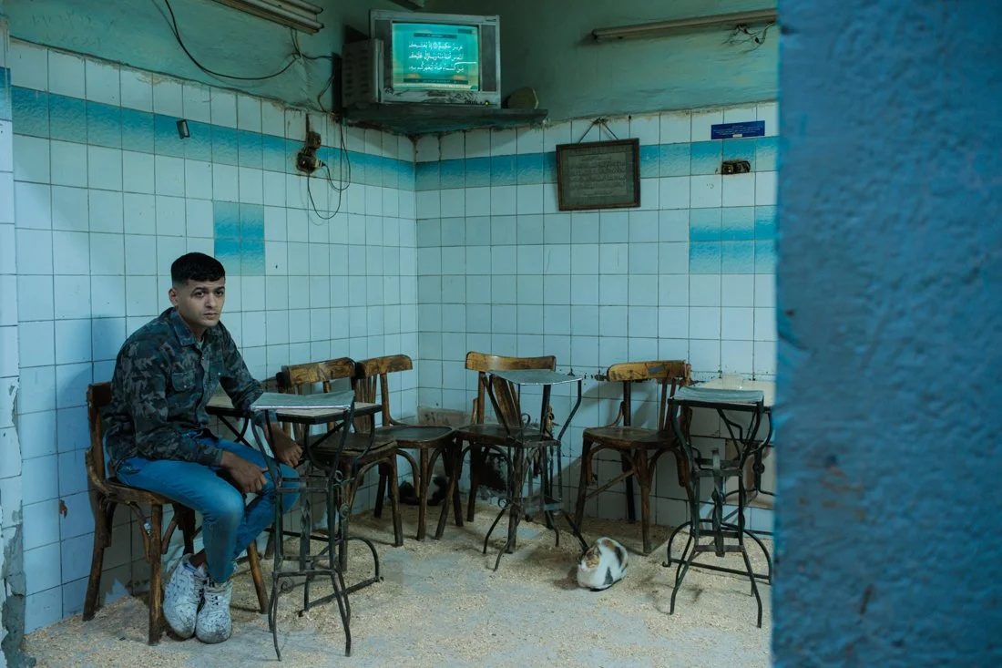 A young man with a dark haircut sitting alone in a room with seven chairs, some of which have small attached desks, on a floor covered with sand or dirt. There are two cats, one black and white and one white and brown, sitting on the floor. The walls
