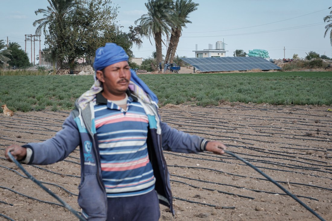 2411 Minya IFAD 0116.jpg
