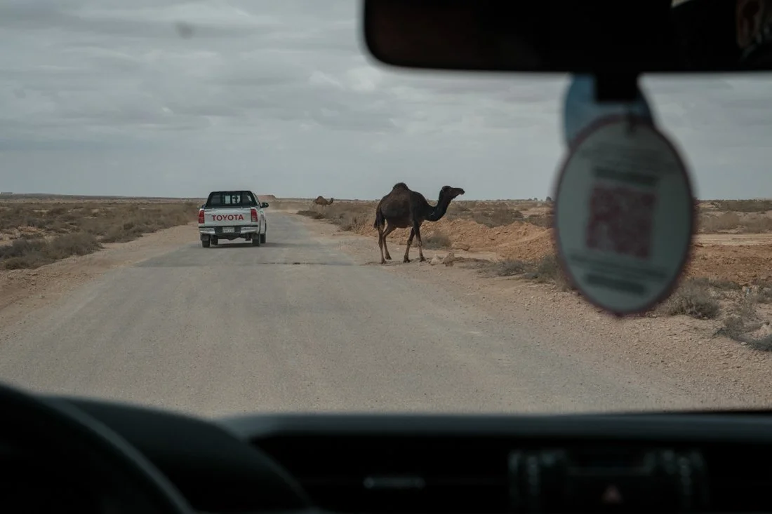 un-ifad-rural-development-egypt-documentary (24).jpg
