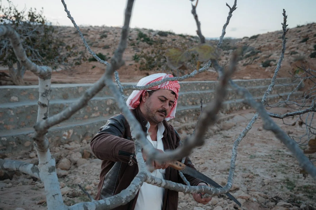 2411 Marsa Matrouh IFAD 0172.jpg