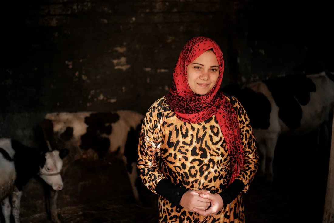 2411 Kafr El Sheikh IFAD 0097.jpg