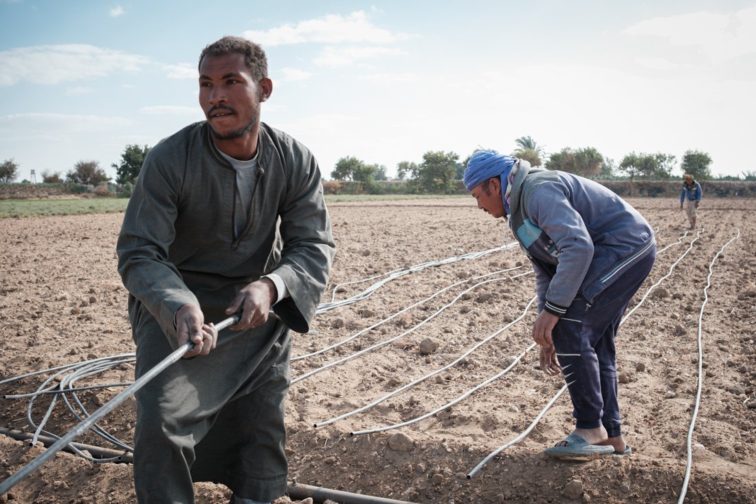 2411 Minya IFAD 0109.jpg