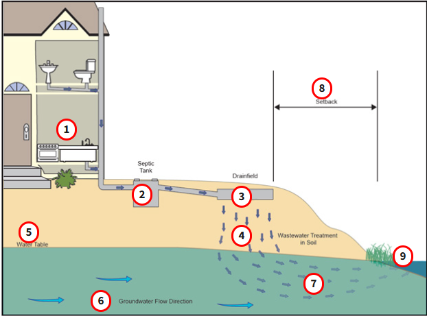 Septic System Interactive diagram from the EPA.