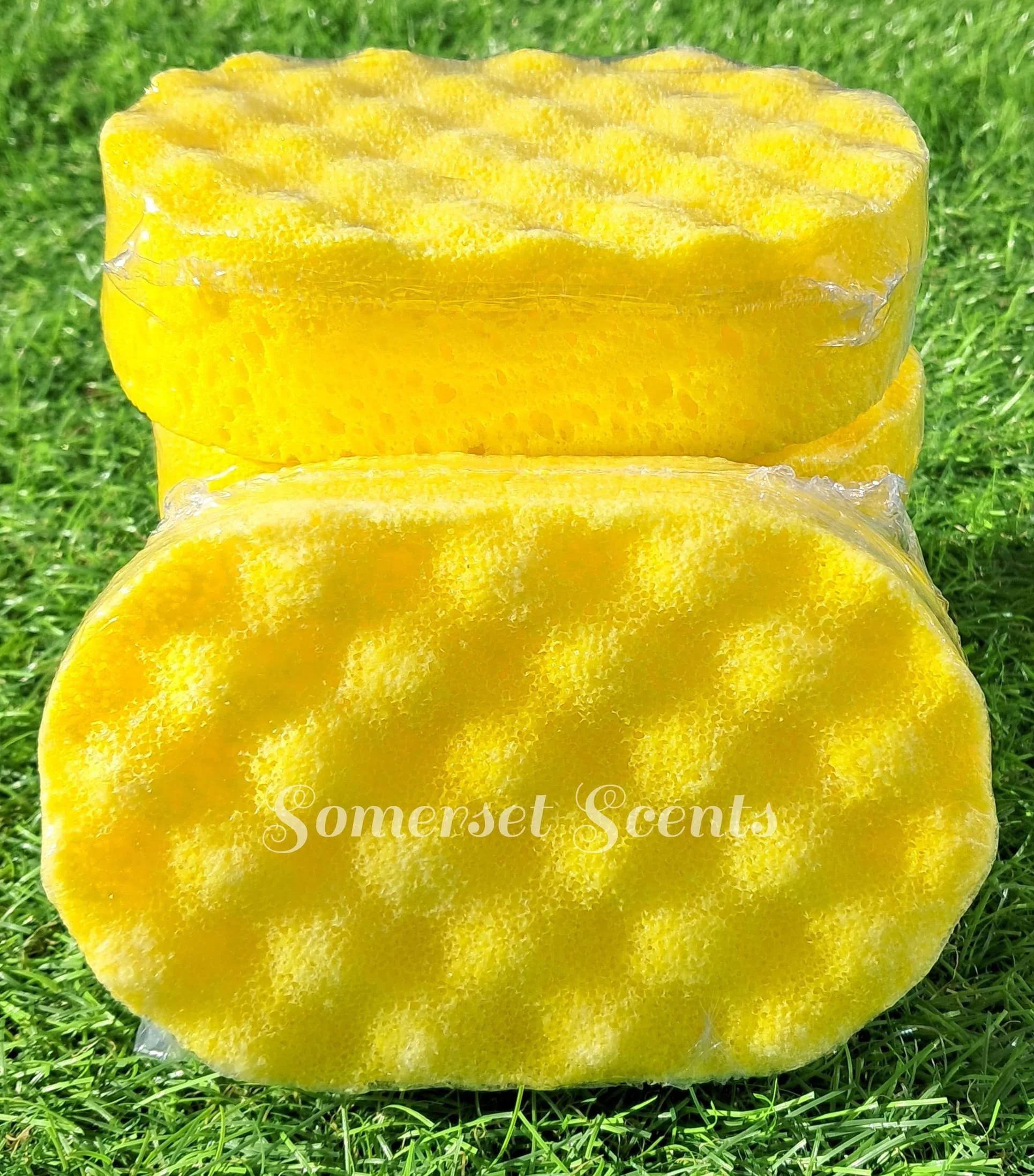 Close-up of a yellow sponge resting on green grass, with the words "Somerset Scents" written on it.
