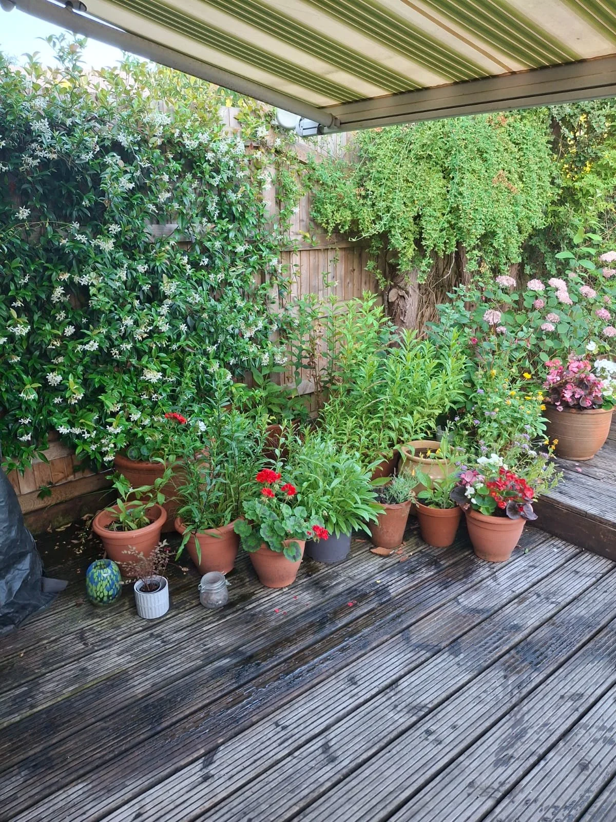 J Stone Garden Services Photo 1.jpg