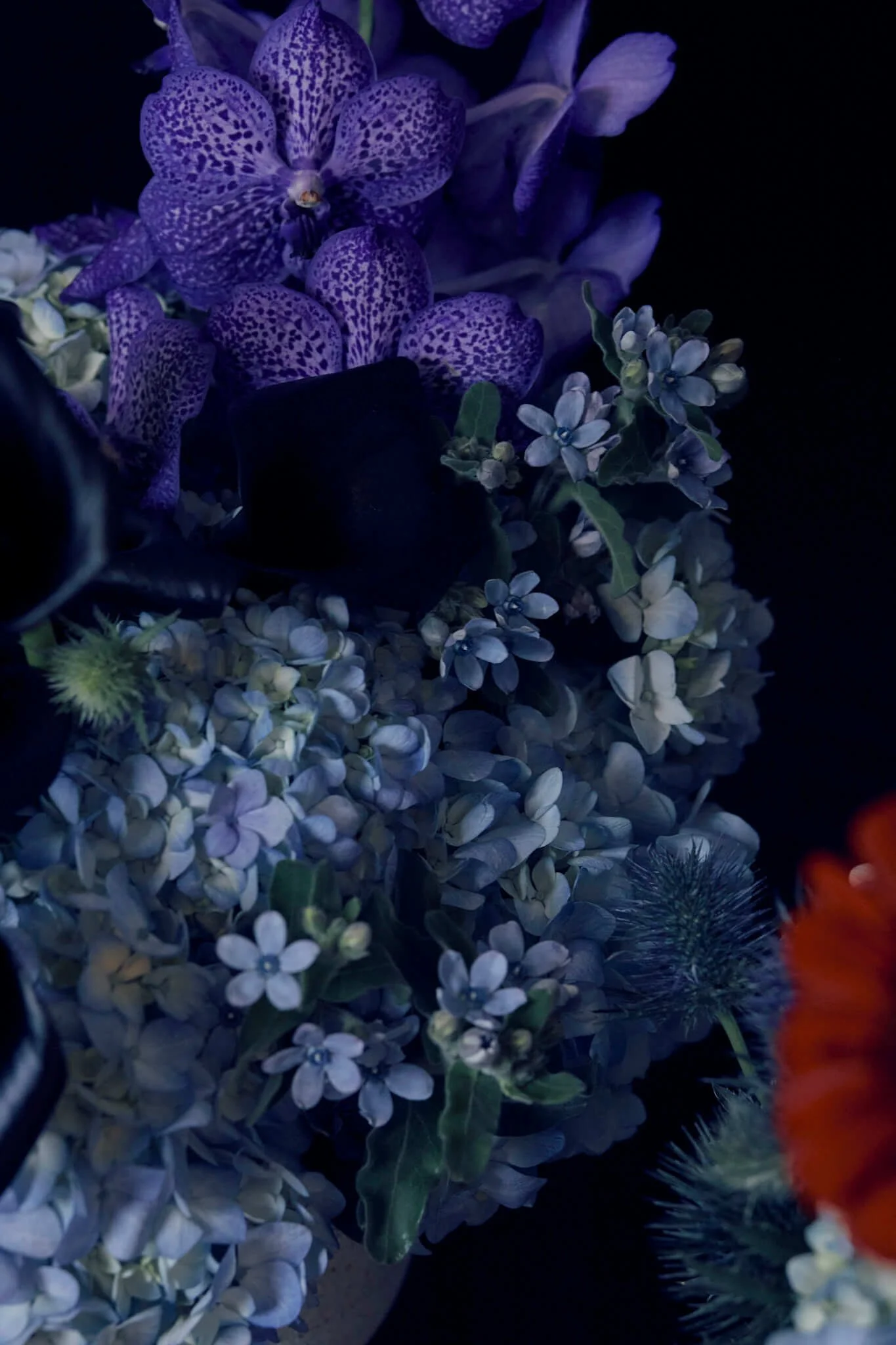 2026013_LA TULIPANA_ANITA GARCIA1987.jpg