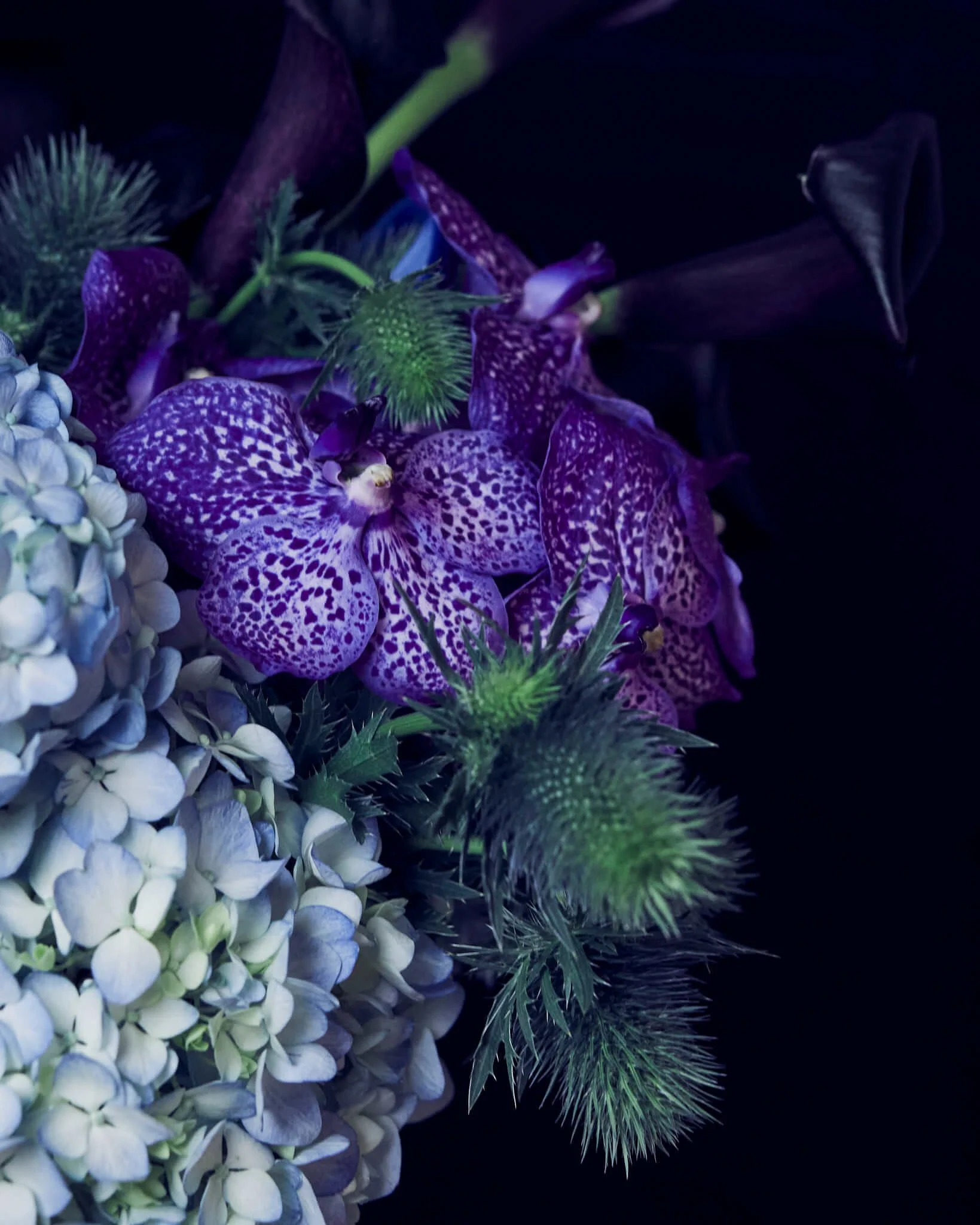 2026013_LA TULIPANA_ANITA GARCIA2028.jpg