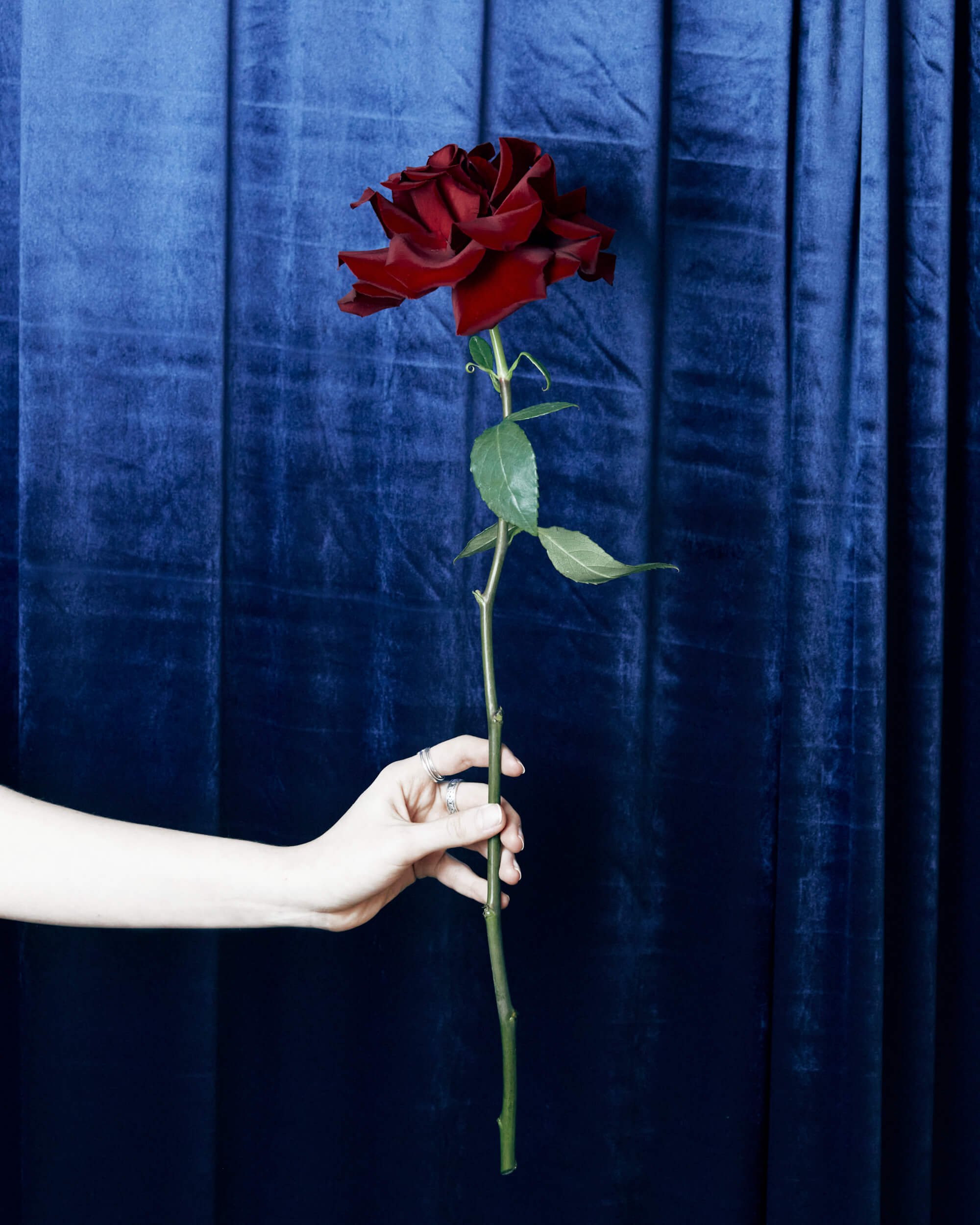 2026013_LA TULIPANA_ANITA GARCIA1331.jpg