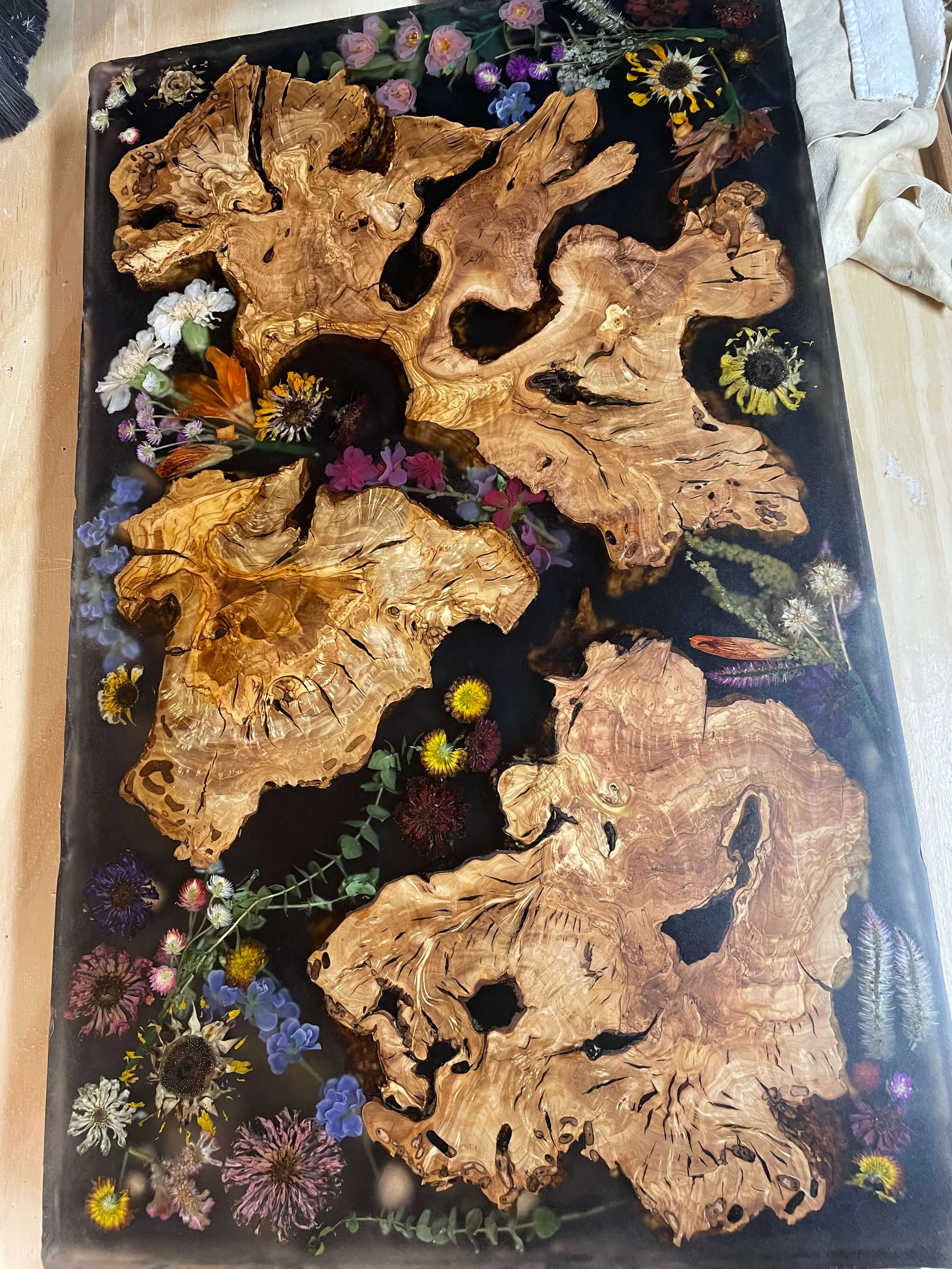 Nature's Harmony Resin and Burl Wood Coffee Table