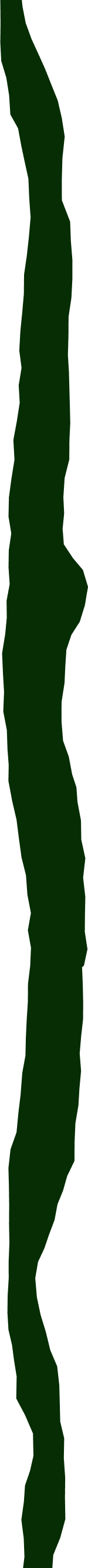 A close-up of a black and green sneaker lace tied in a bow.