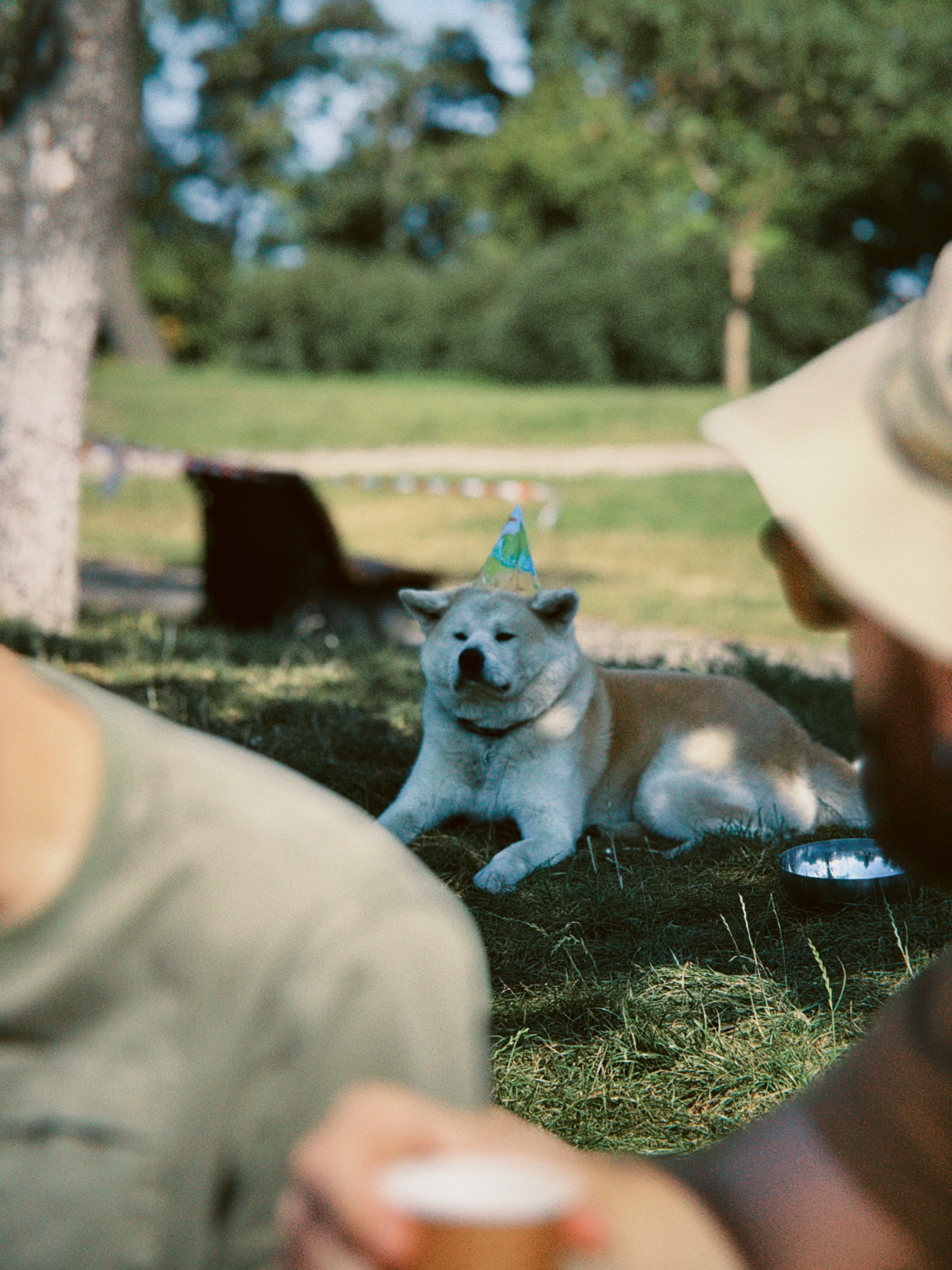 From Birthdays to Budgets: To Know Someone is To Honor Them