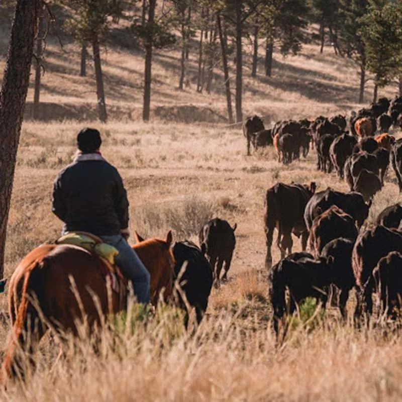 Charter-Ranch-beef.jpg