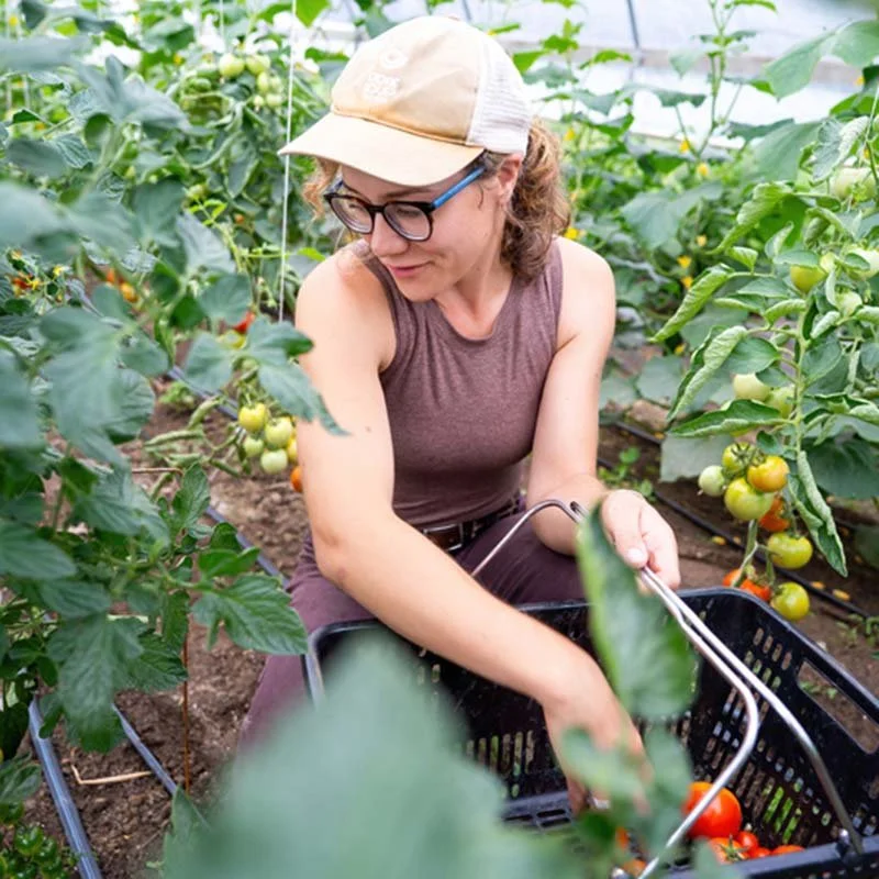 local-vegetables.jpg
