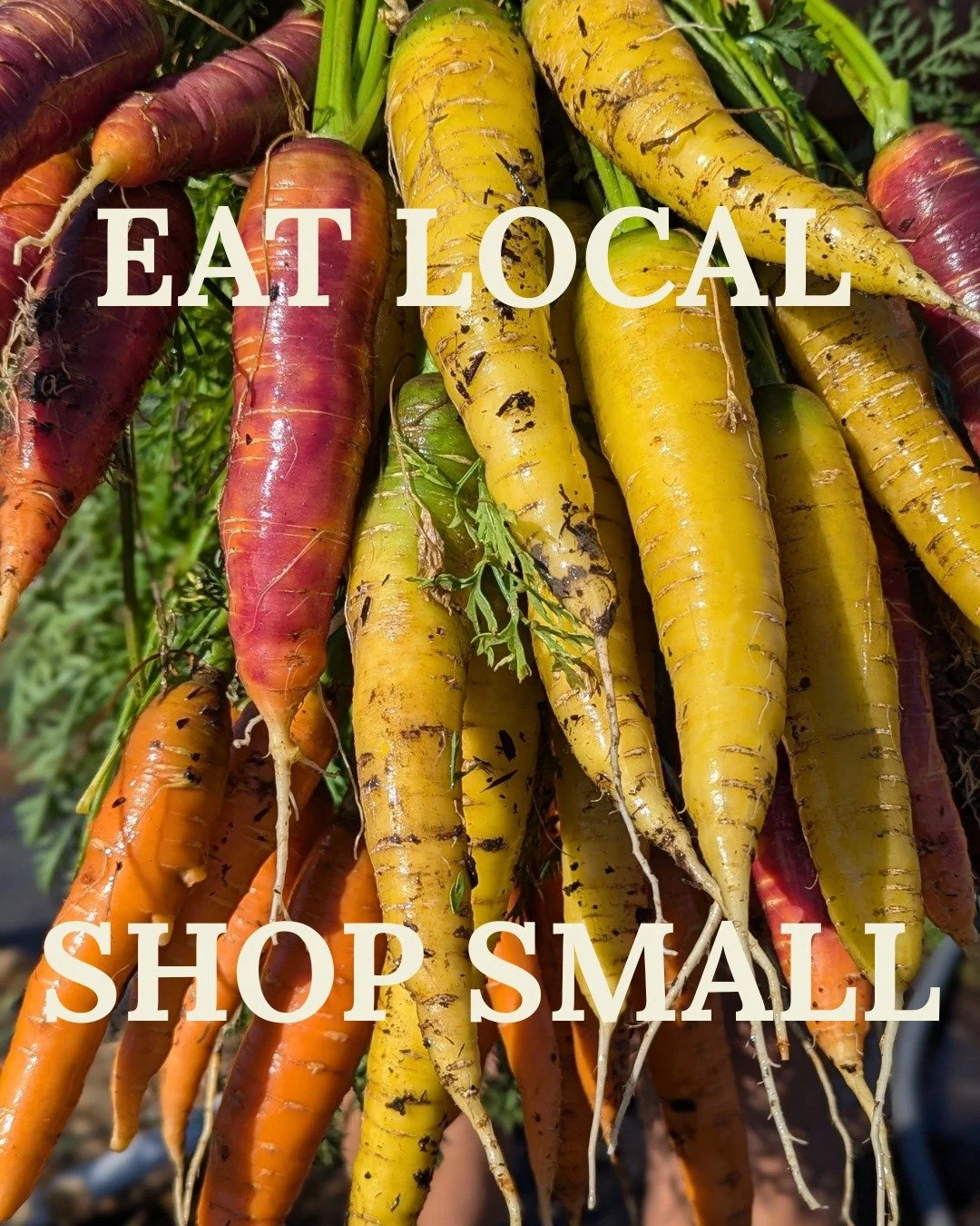 Thank you for choosing local this year. 

Yesterday&rsquo;s meals were brought to you by makers and farmers of our region&mdash;and we&rsquo;re deeply grateful for every order that helped make that possible.

As you head into the weekend, we encourag