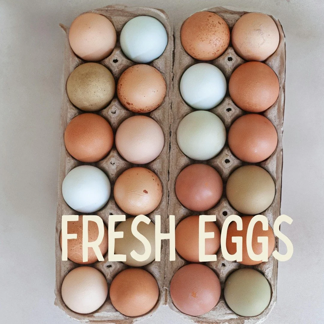The girls are laying again and we&rsquo;ve got fresh local eggs this week!
Eggs are one of the biggest nutrition upgrades you can make when buying local &mdash; more omega-3s, more vitamin D, and incredible flavor. Plus you&rsquo;re supporting family