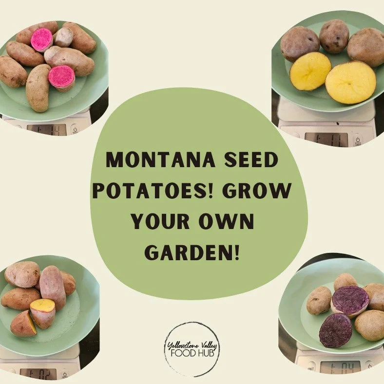 Now&rsquo;s the time to get your hands in the dirt.
Township Road Farm in Worden, MT brought in Montana-grown and bred seed potatoes&mdash;perfect for planting in your own backyard garden this season. These varieties are selected to thrive in our cli