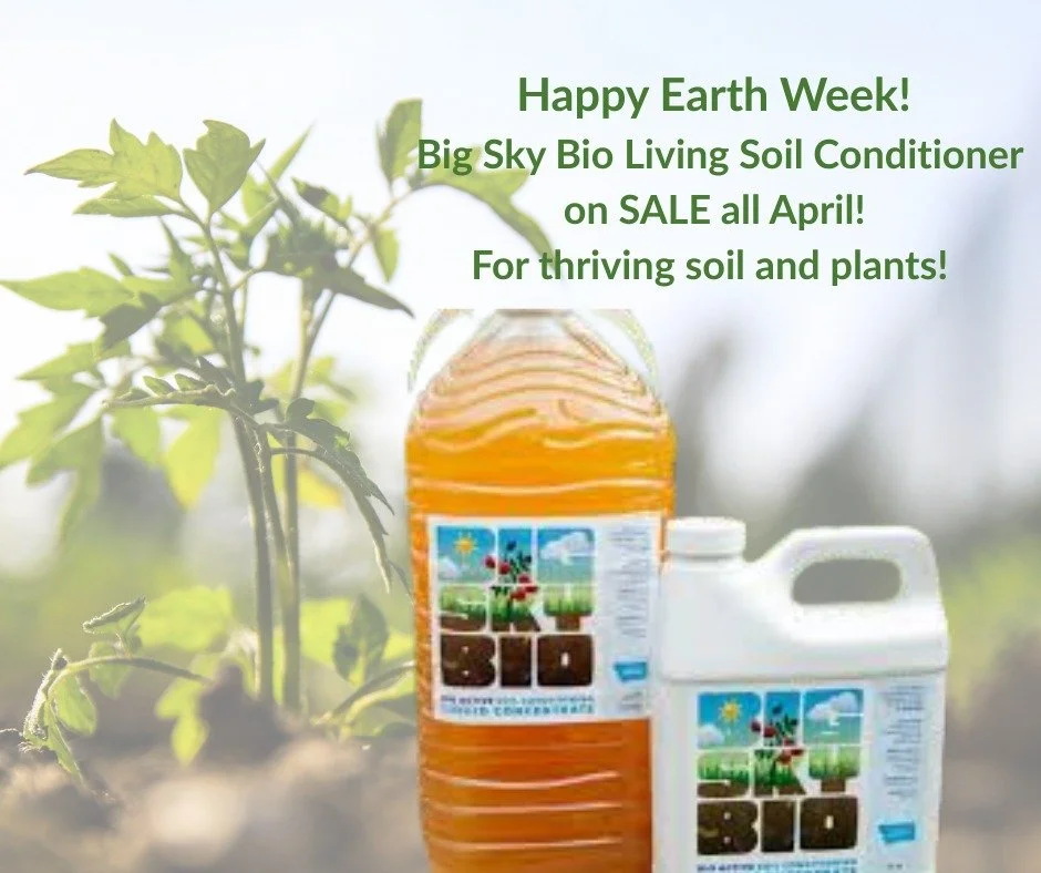 In celebration of Earth Week, we&rsquo;re excited to share that for the rest of the month, Swift Buckets Big Sky Bio Soil Conditioner is on sale!
This bio-active, living liquid concentrate is made from YOUR home food waste, brewed into a mineral-rich