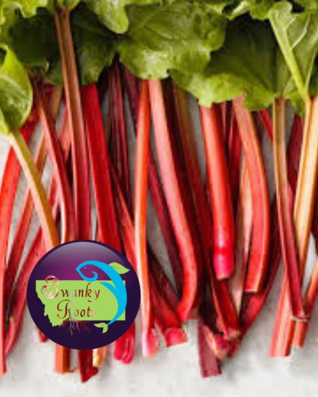 Swanky Roots rhubarb is back and it&rsquo;s perfect for making simple rhubarb syrup for sparkling drinks, mocktails, or summer cocktails.

Just simmer chopped rhubarb with water and sugar or honey, strain, and chill. Mix with sparkling water over ice