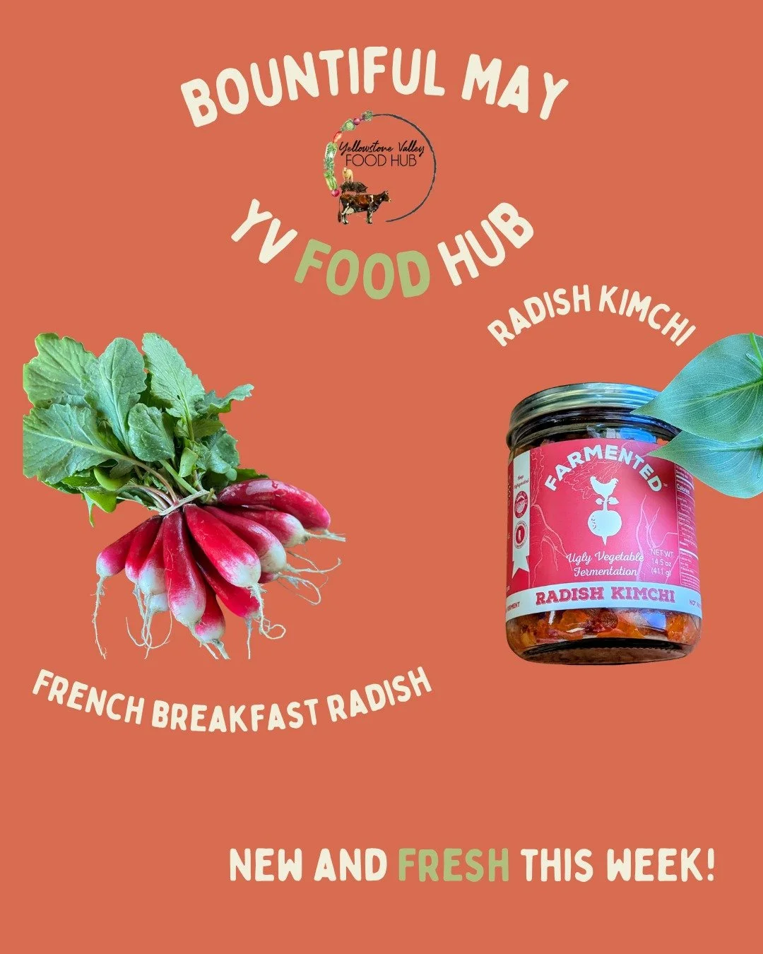 Seasonal line-up for the week!

We're getting new veggies sprouting up each week from our amazing line-up of local growers! 

Plus, we have new radish kimchi and dog treats! Both of these products use "ugly veggies" and pork from boars (oft