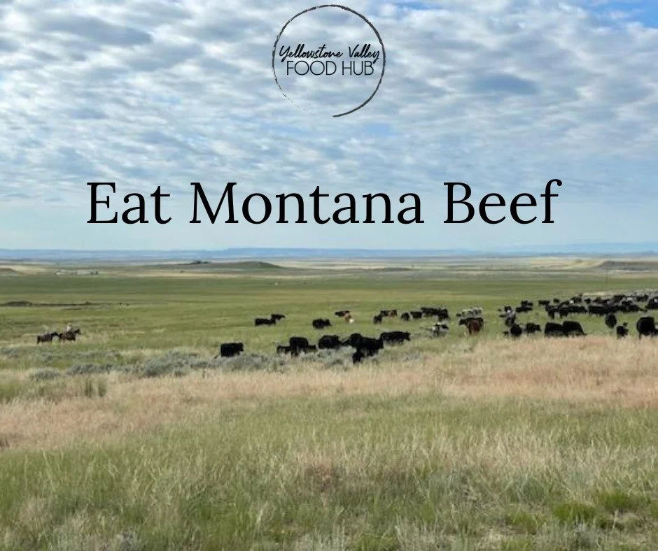 Eat Montana beef.

Raised close to home, grown by ranching families who care deeply about the land, and packed with flavor that speaks for itself.

Bullseye Ranch ground beef bundles are an easy way to stock your freezer for summer grilling season &m