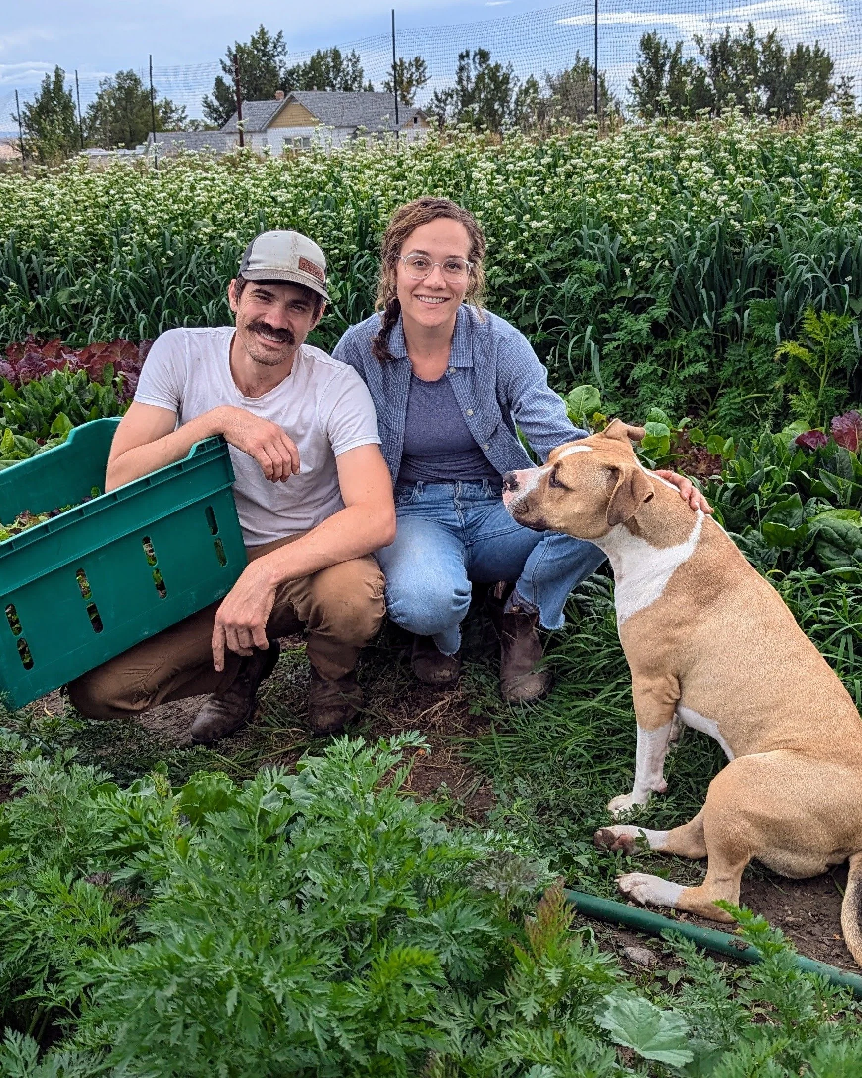 Have you been missing @stonesoupgarden greens as much as we have?

Good news: they're back this week with their incredible salad mixes and fresh sprouting broccoli!

One of our favorites is the Mustard Mix. It adds a little zip to salads and wilts be