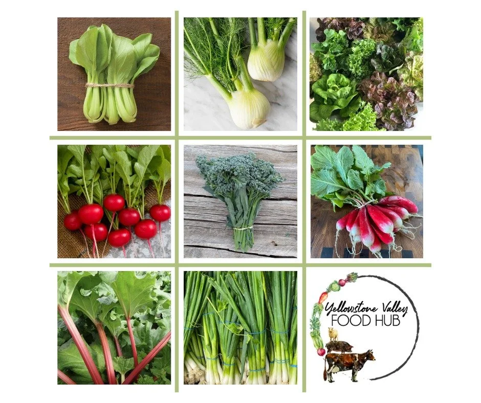 Garlic Scape Season Alert

If you know, you know! 

If you don't know, this is your sign to find out.

The veggie lineup is STACKED this week with:
🌱 Garlic scapes
🥬 Bok choy
🥗 Mustard greens
💚 Kale
🌶️ Radishes
🌿 Fresh herbs
🧅 Green onions

Ga