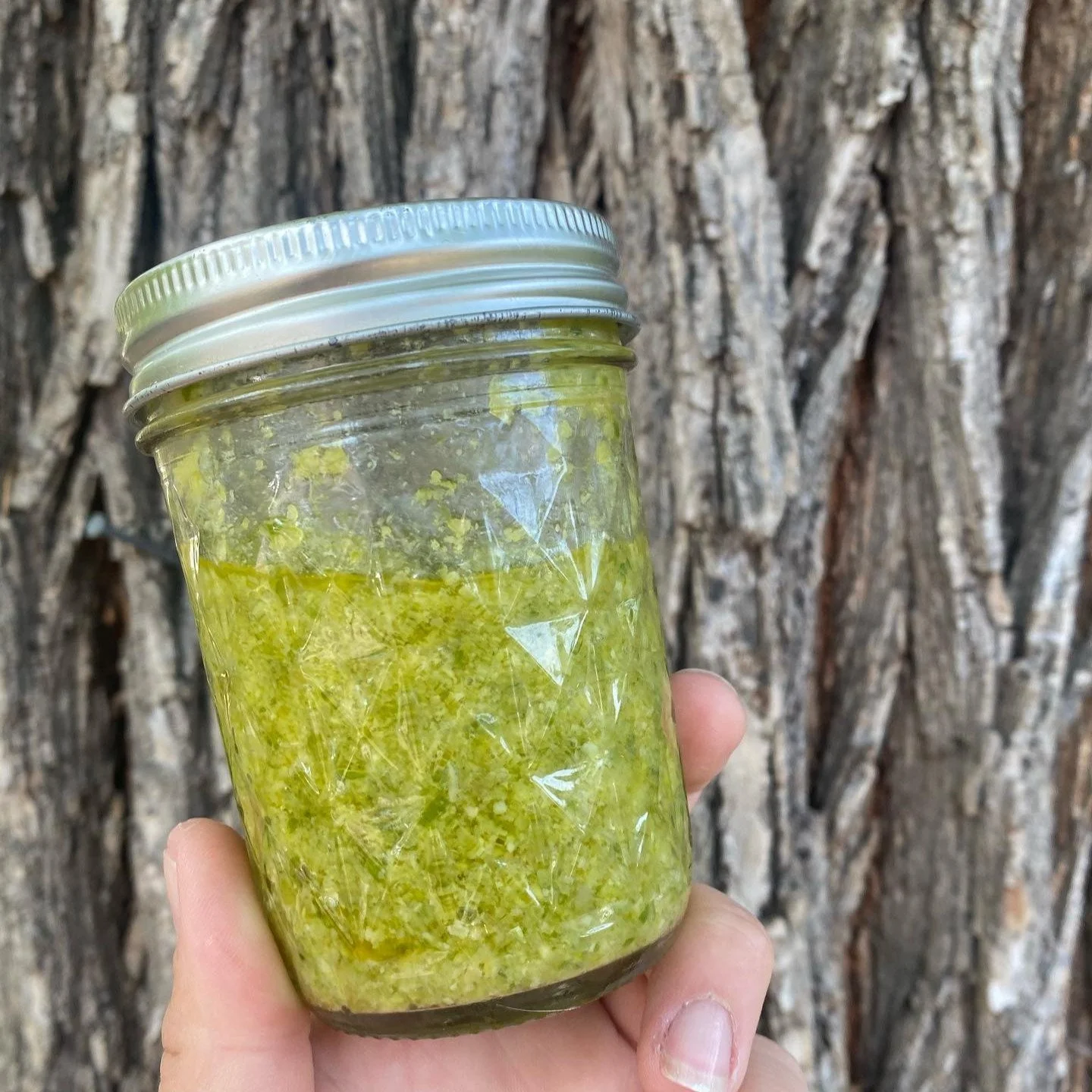Garlic scape season is here!

Scroll through for a simple Roasted Garlic Scape Pesto made with garlic scapes from @stonesoupgarden We roasted this batch first for a milder, sweeter, and creamier pesto that pairs perfectly with fresh pasta, grilled ch