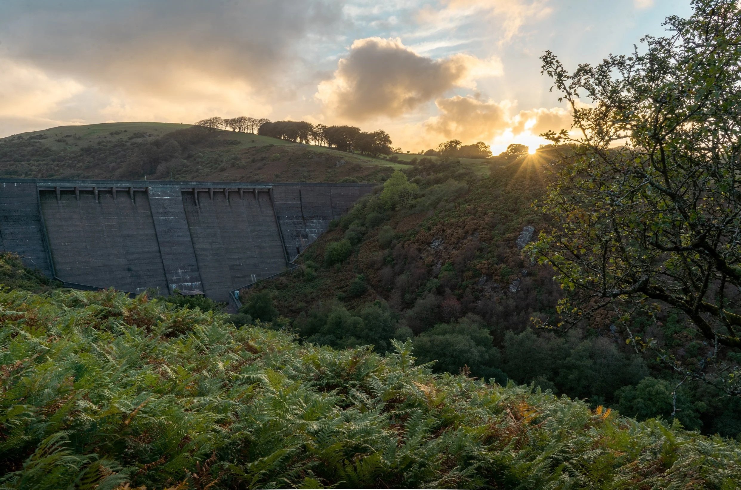 DSC04465-HDR.jpg