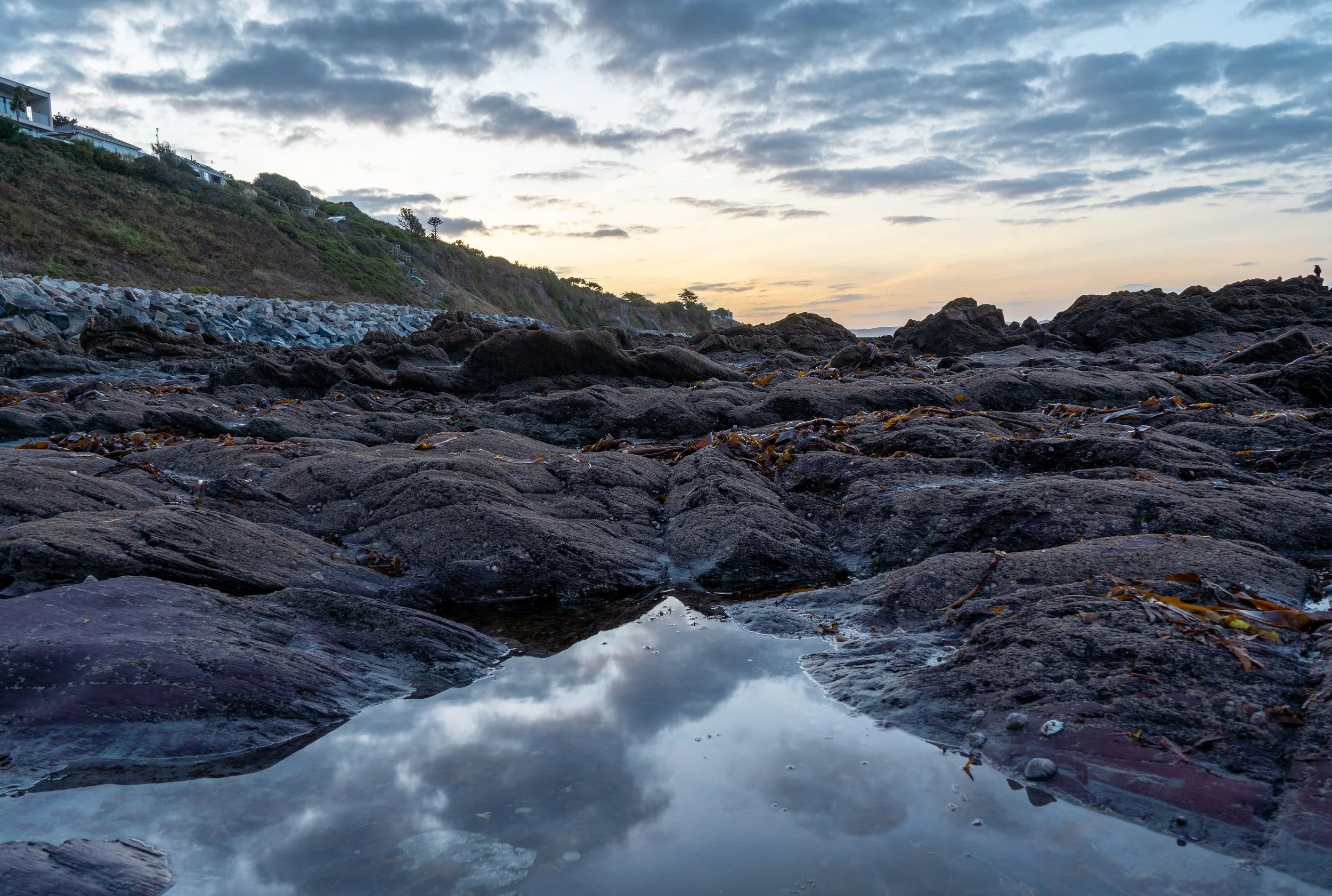 DSC04537-HDR.jpg