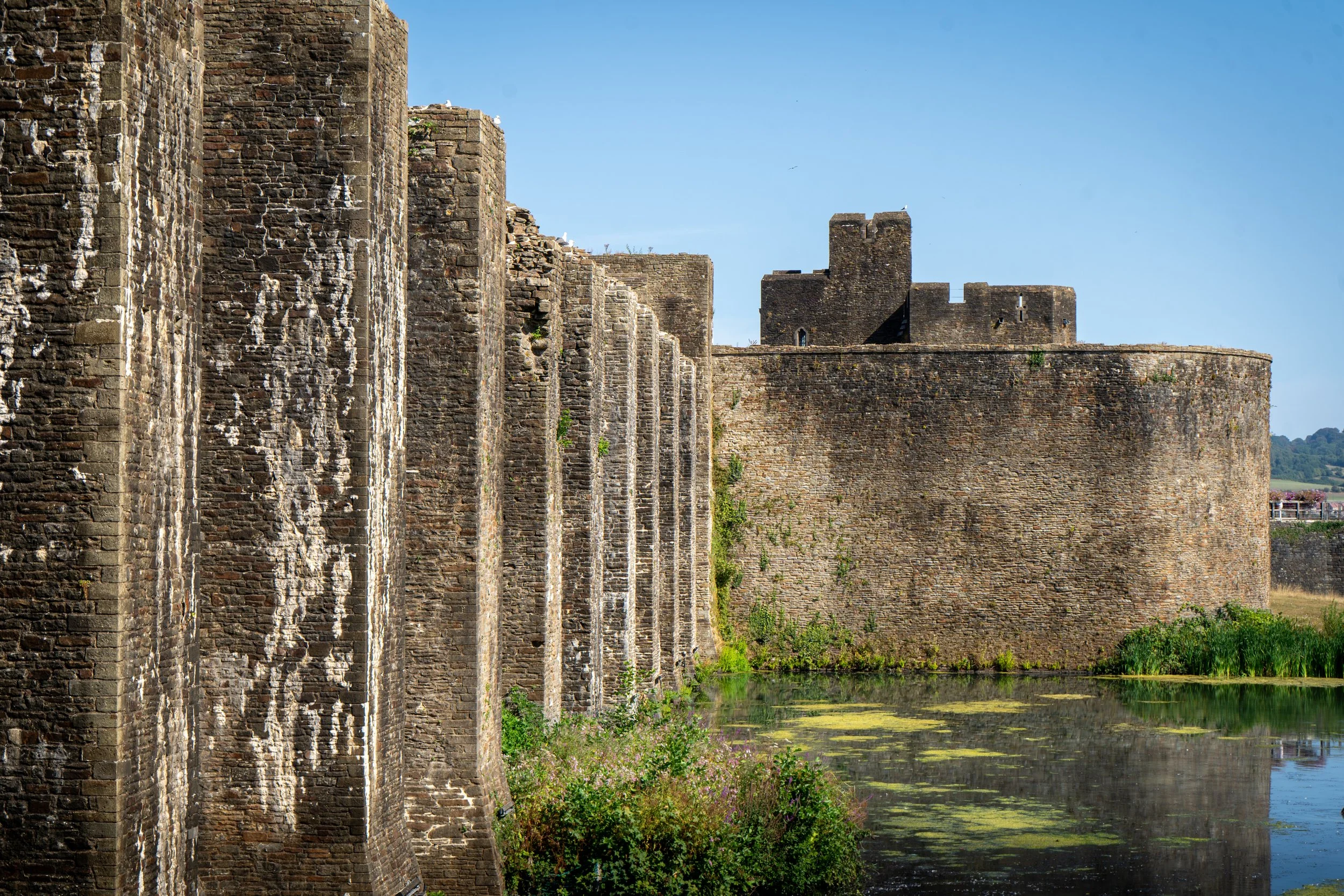 The wall and the moat.jpg