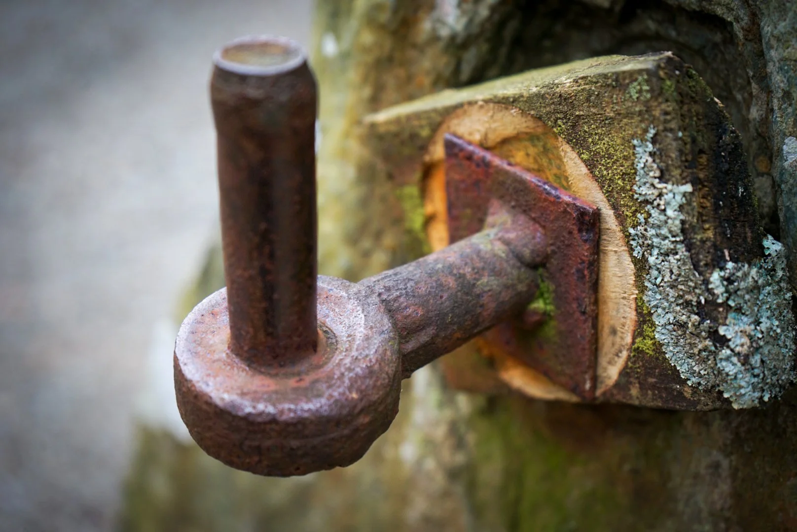 The Hinge.jpg