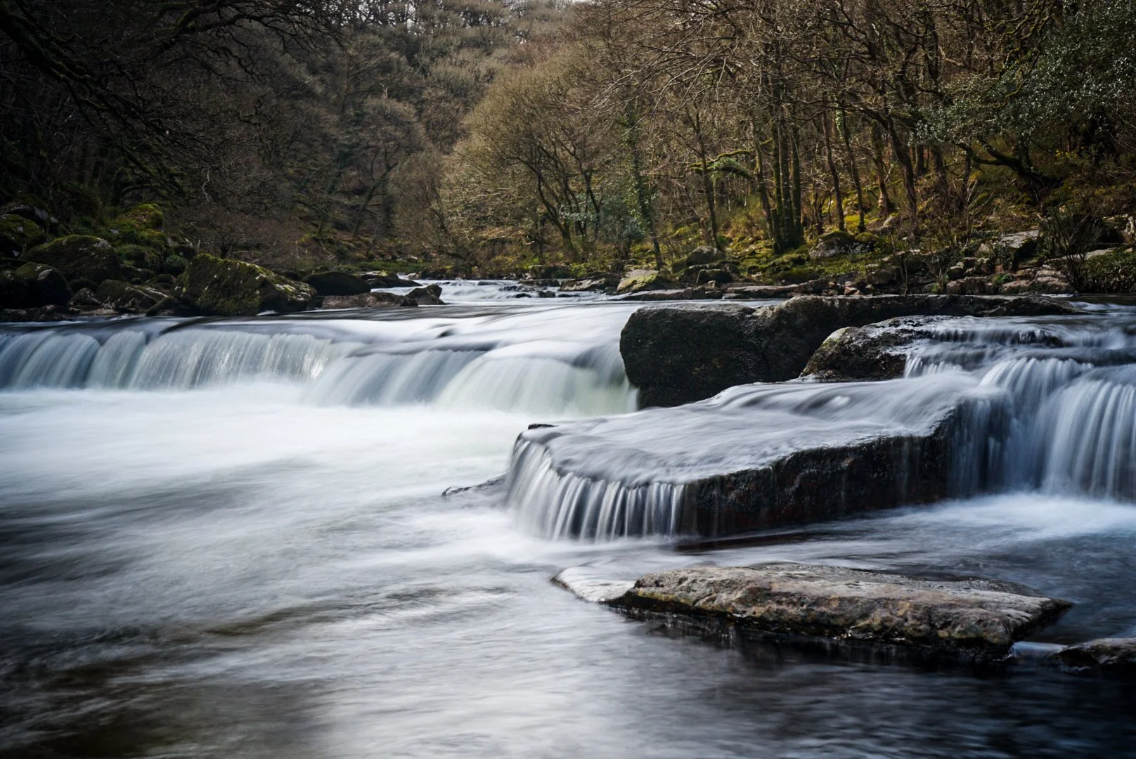 The River Dart.jpg