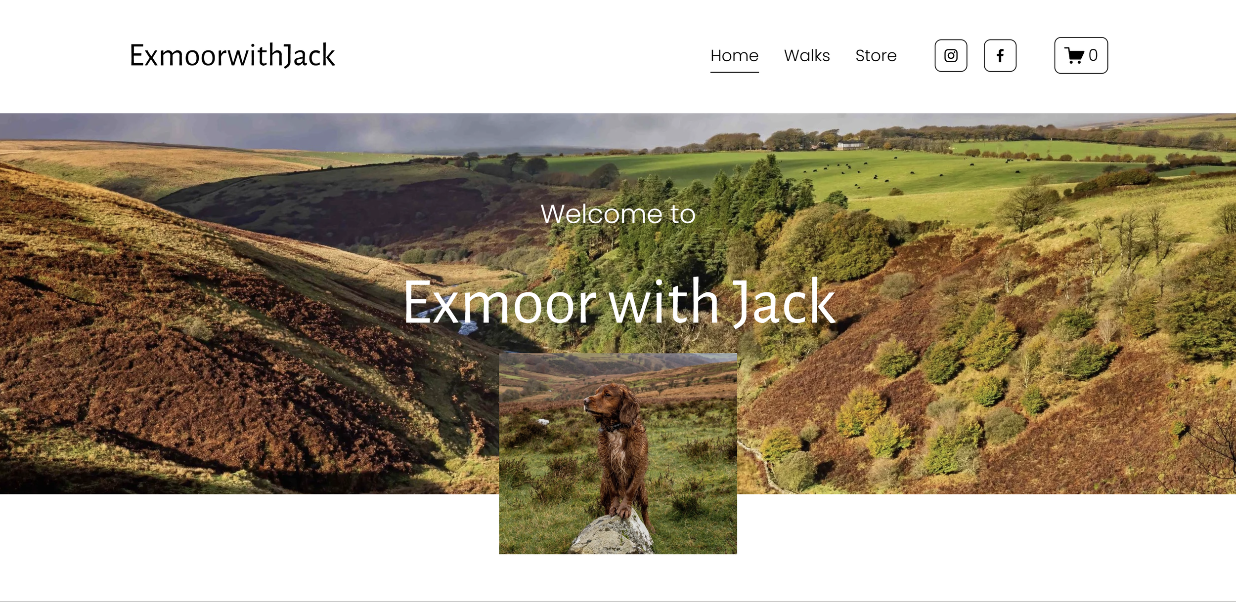 Homepage of Exmoor with Jack website featuring a landscape of rolling hills with green and brown vegetation, and a centered image of a brown dog sitting on a rock.