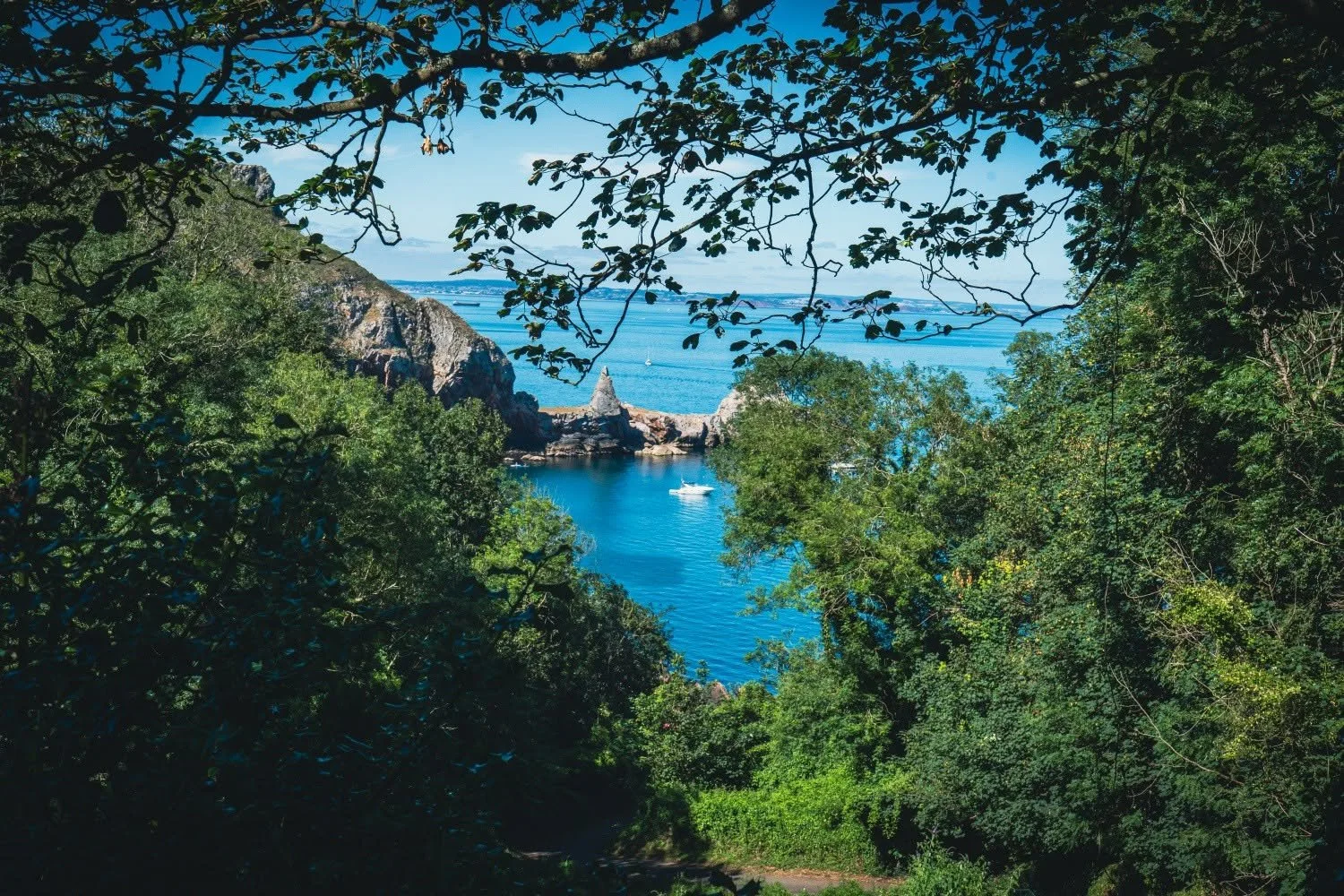 Anstey's Cove.jpg