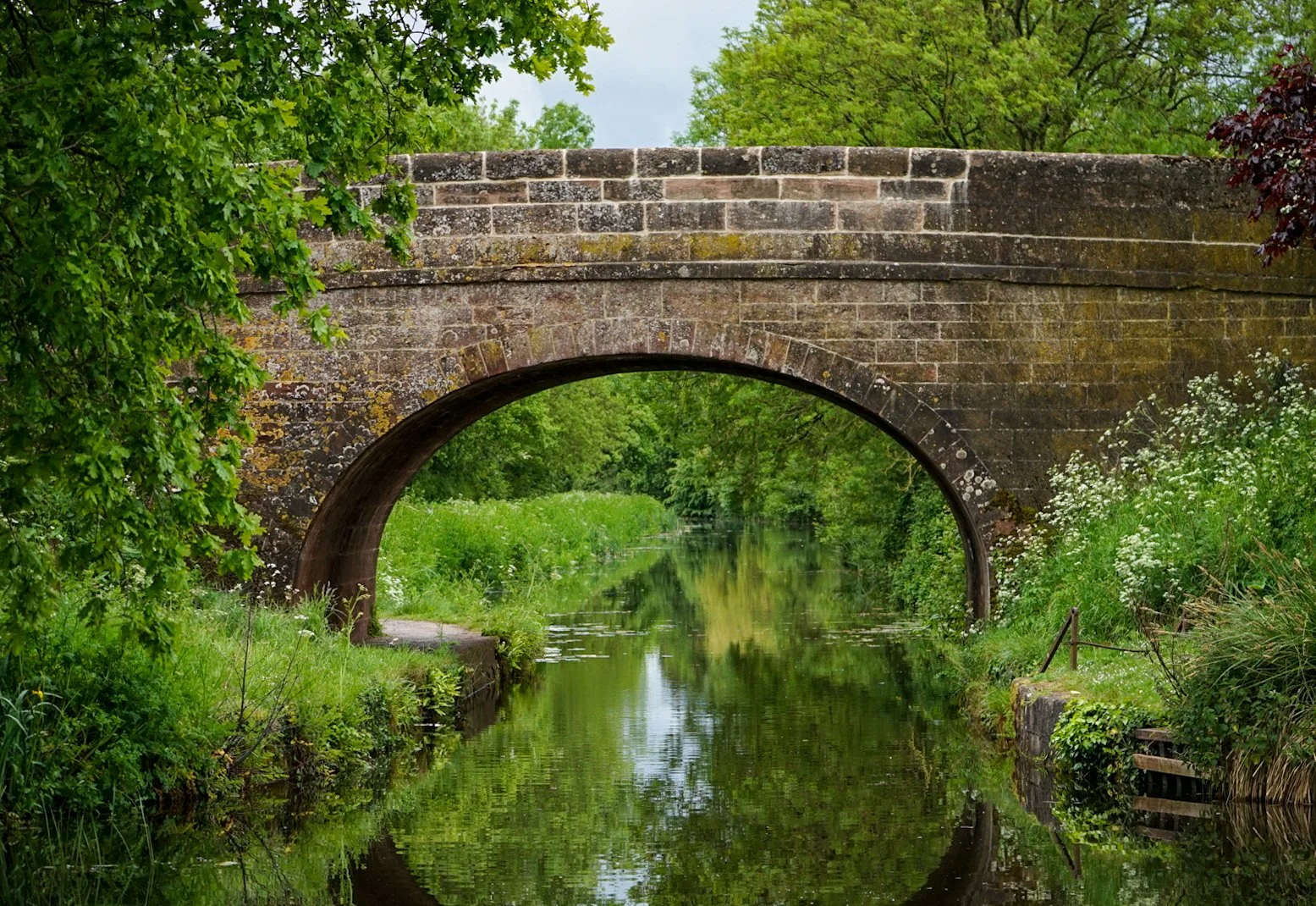 Canal Reflections.jpg
