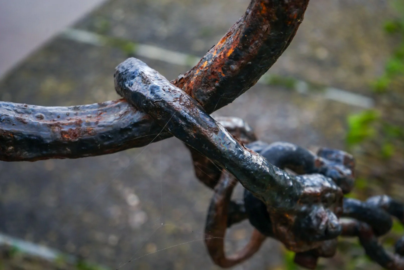 The Chain.jpg