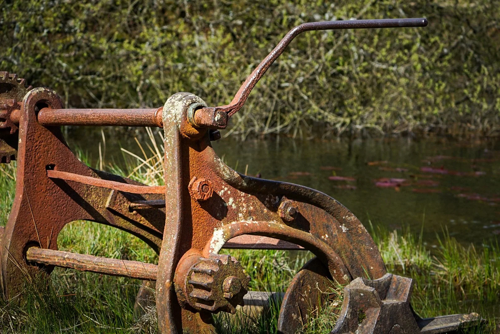 Abandoned tools.jpg