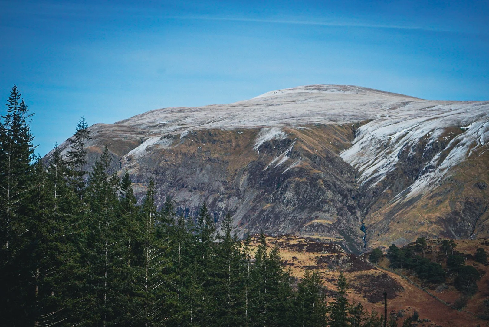 Forest and mountain.jpg
