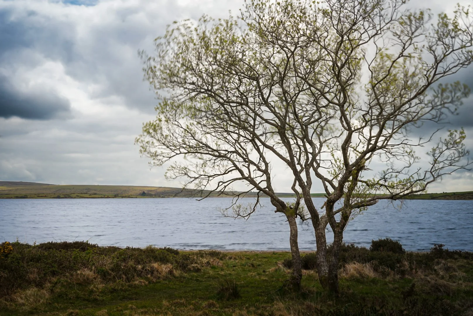 Colliford Resevoir.jpg