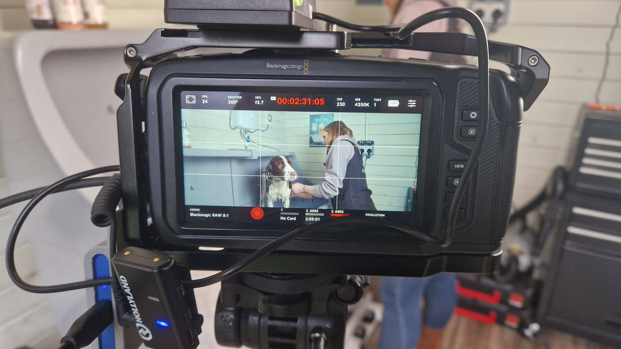 Video camera with a mounted microphone on a tripod against a brown background.