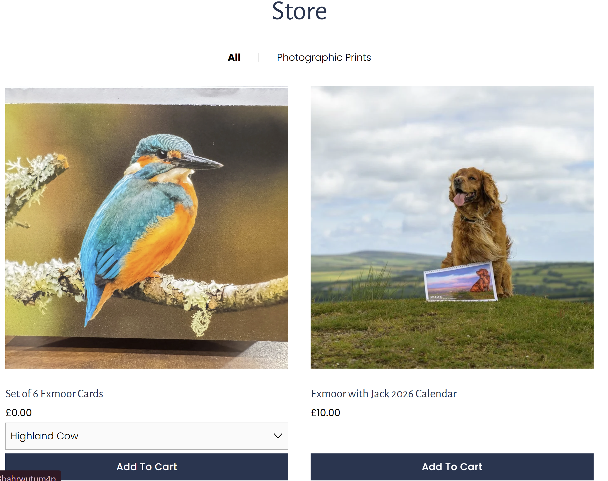 Web page displaying outdoor photographs of a bird and a dog with calendars. The bird is a highland cow print, and the dog is a retriever with a dog calendar.