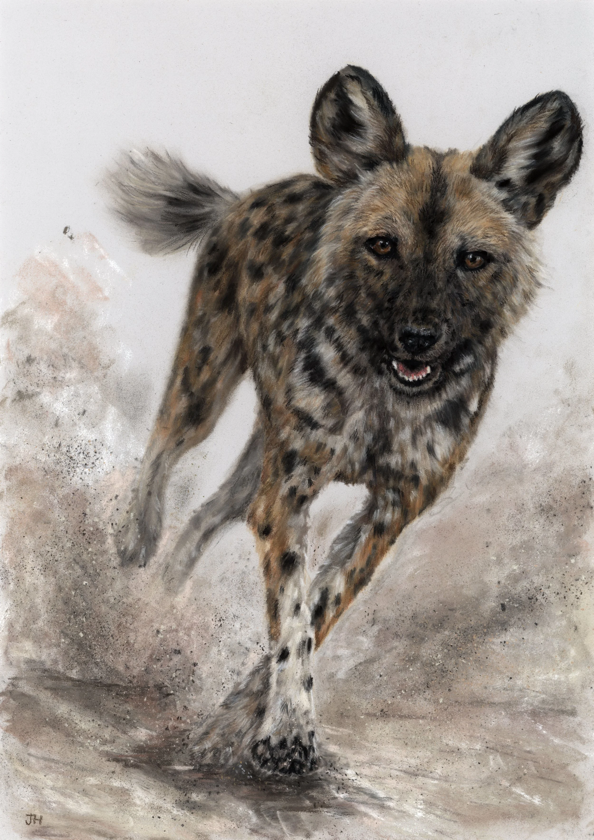 'Chance Encounter' - Pastels on PastelMat -Sketch for Survival 2026 Supporter entry
