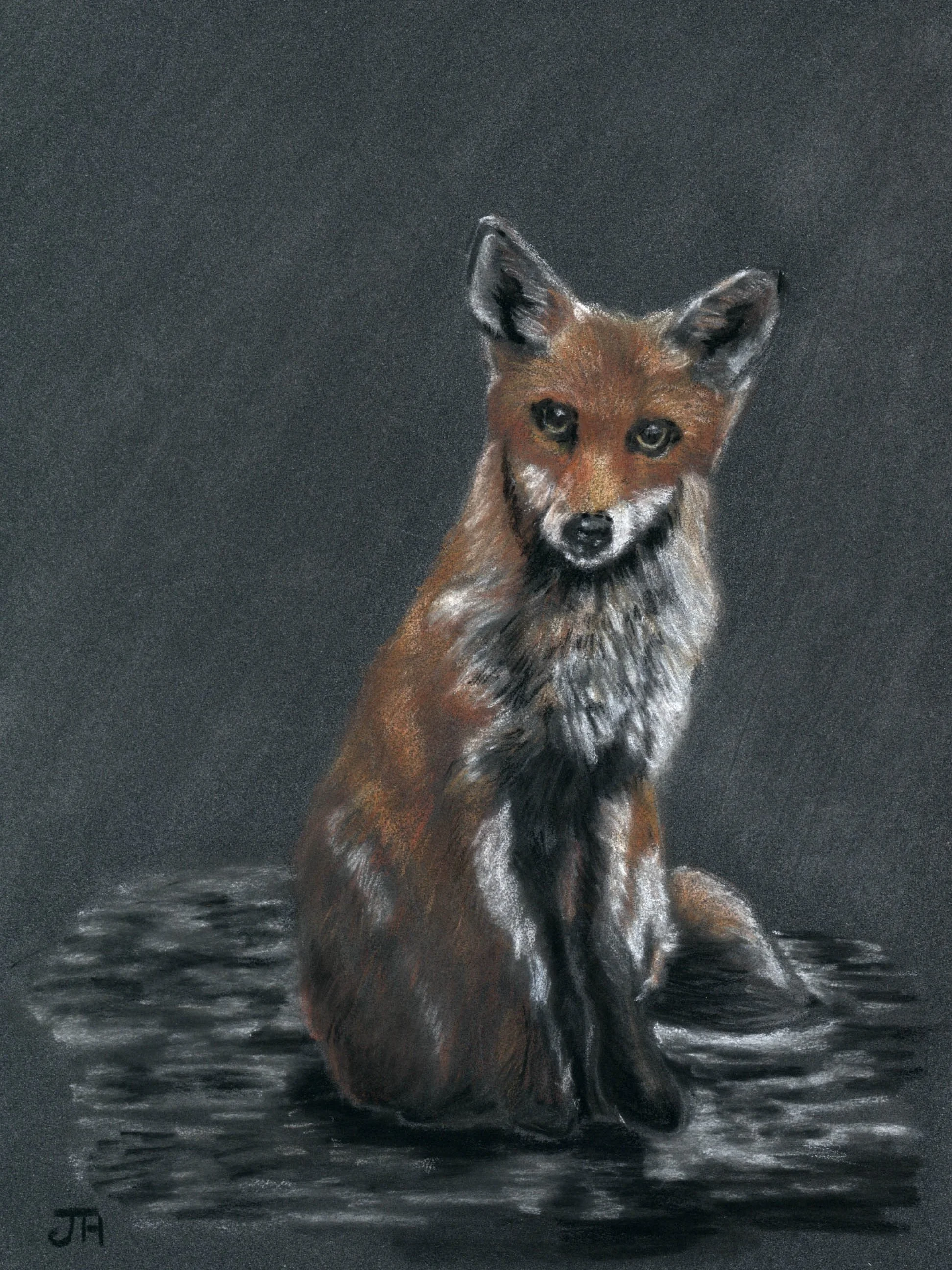 In the Dark - Coloured Pencils on PastelMat