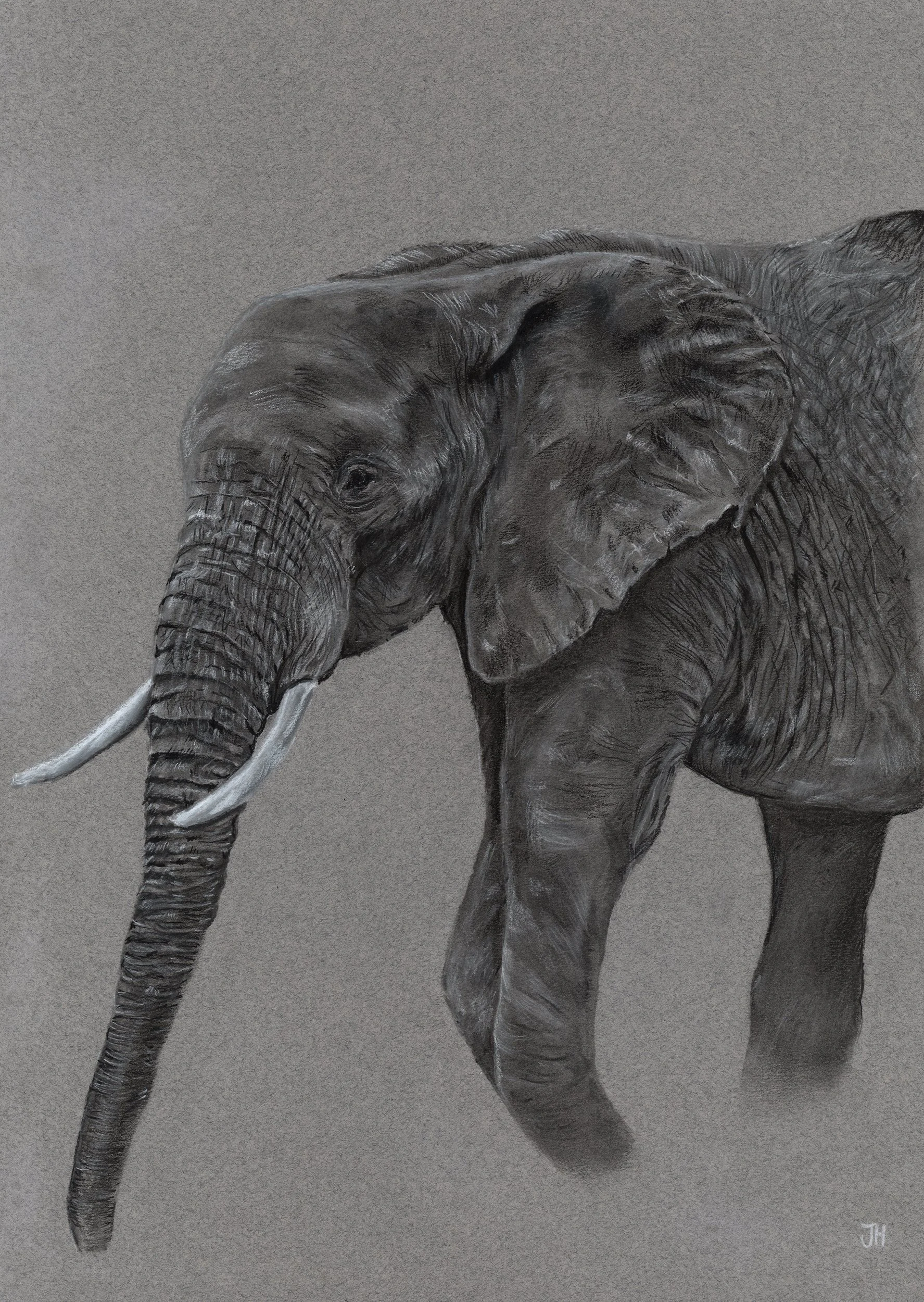 Example commissioned wildlife artwork