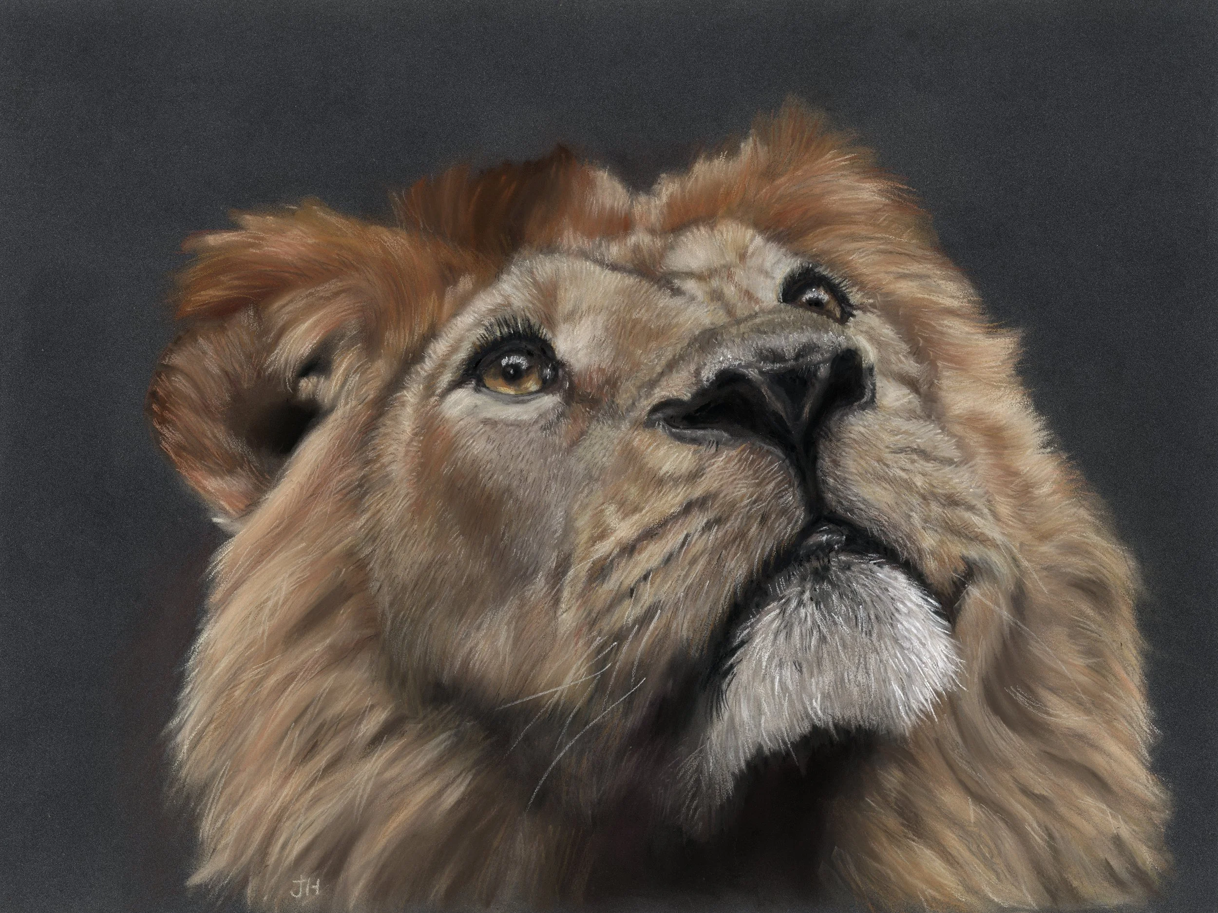 'Untroubled' - Pastels on PastelMat