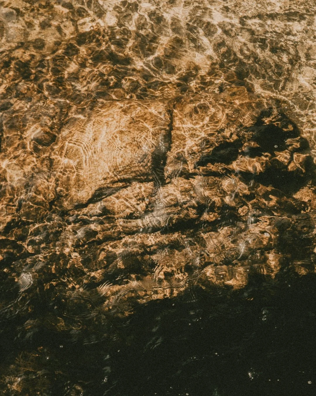 Clarity doesnt arrive all at once. As the sun rises, the morning light slowly crawls it's way throughout the land and it's rays shimmer and dance across the water. 

As you begin your day, repeat these affirmations:
- I move through today with calm i